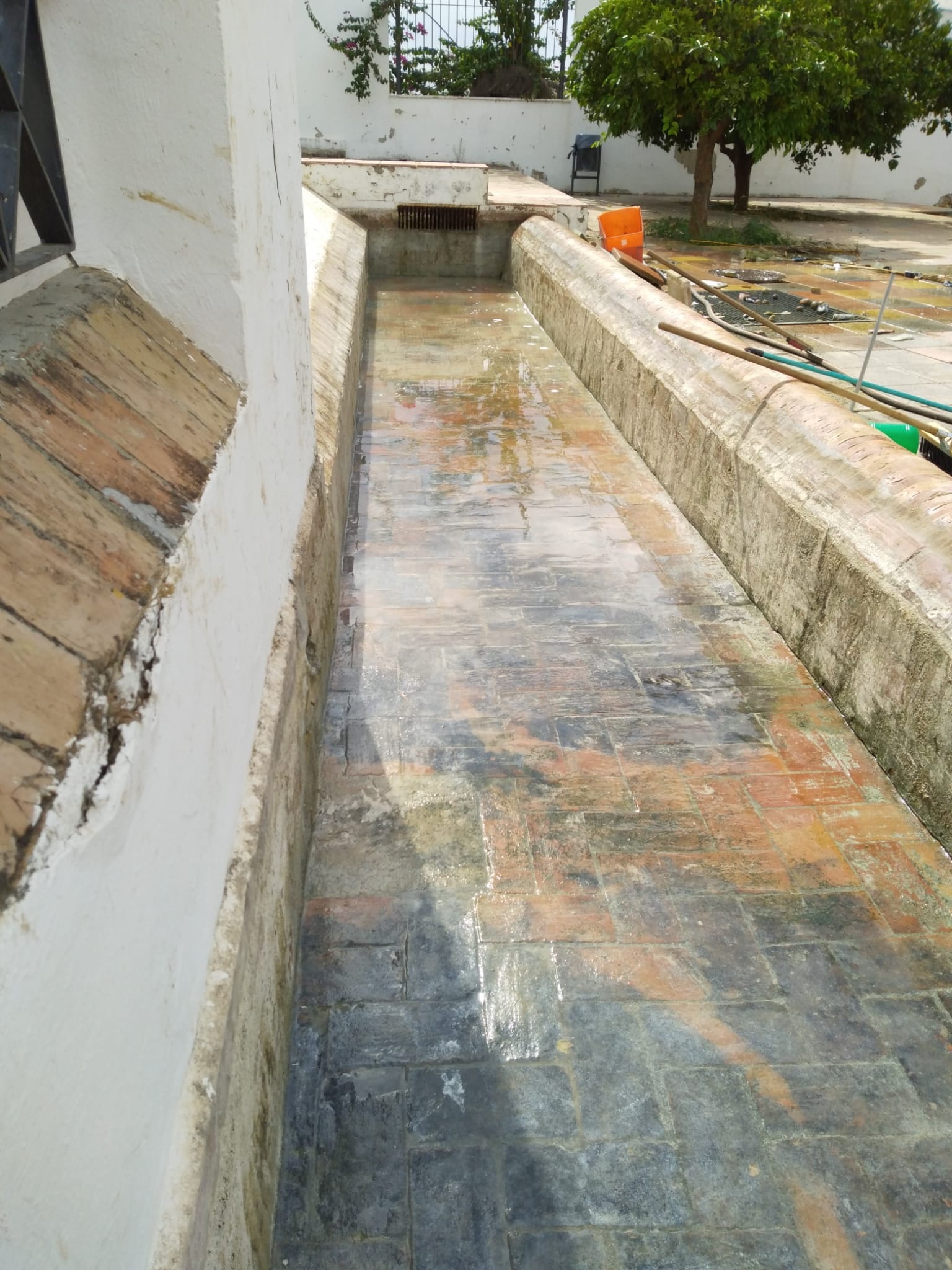 WhatsApp Image 2020-09-02 at 13.53.41