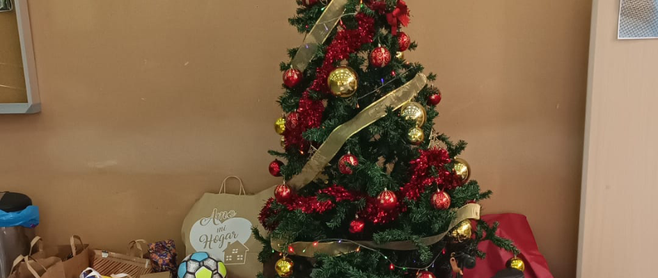 812024arbol solidario