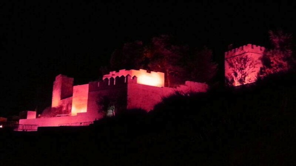 Castillo de rosa