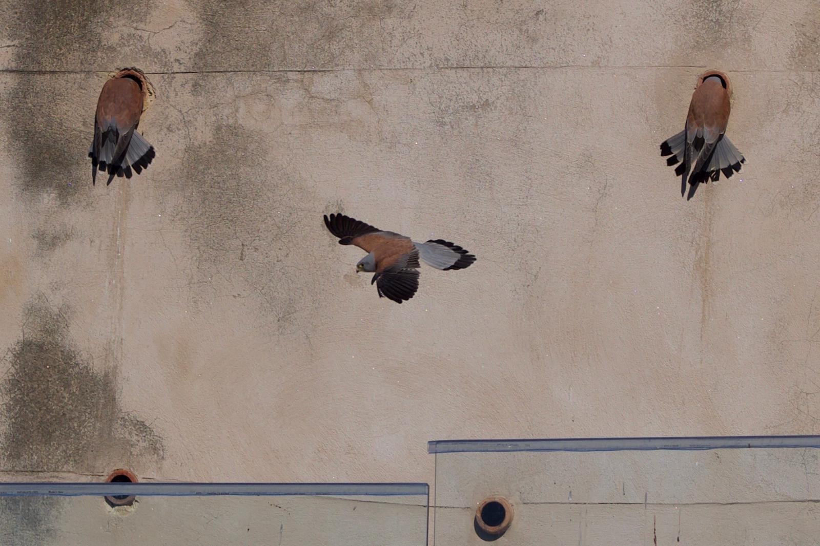 PHOTO-2021-07-14-11-28-24