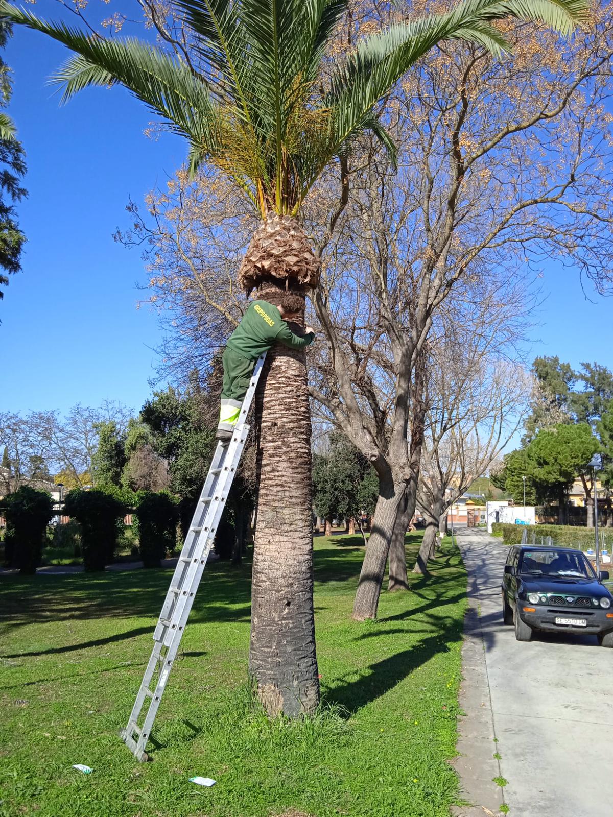 WhatsApp Image 2022-02-15 at 9.25.28 AM