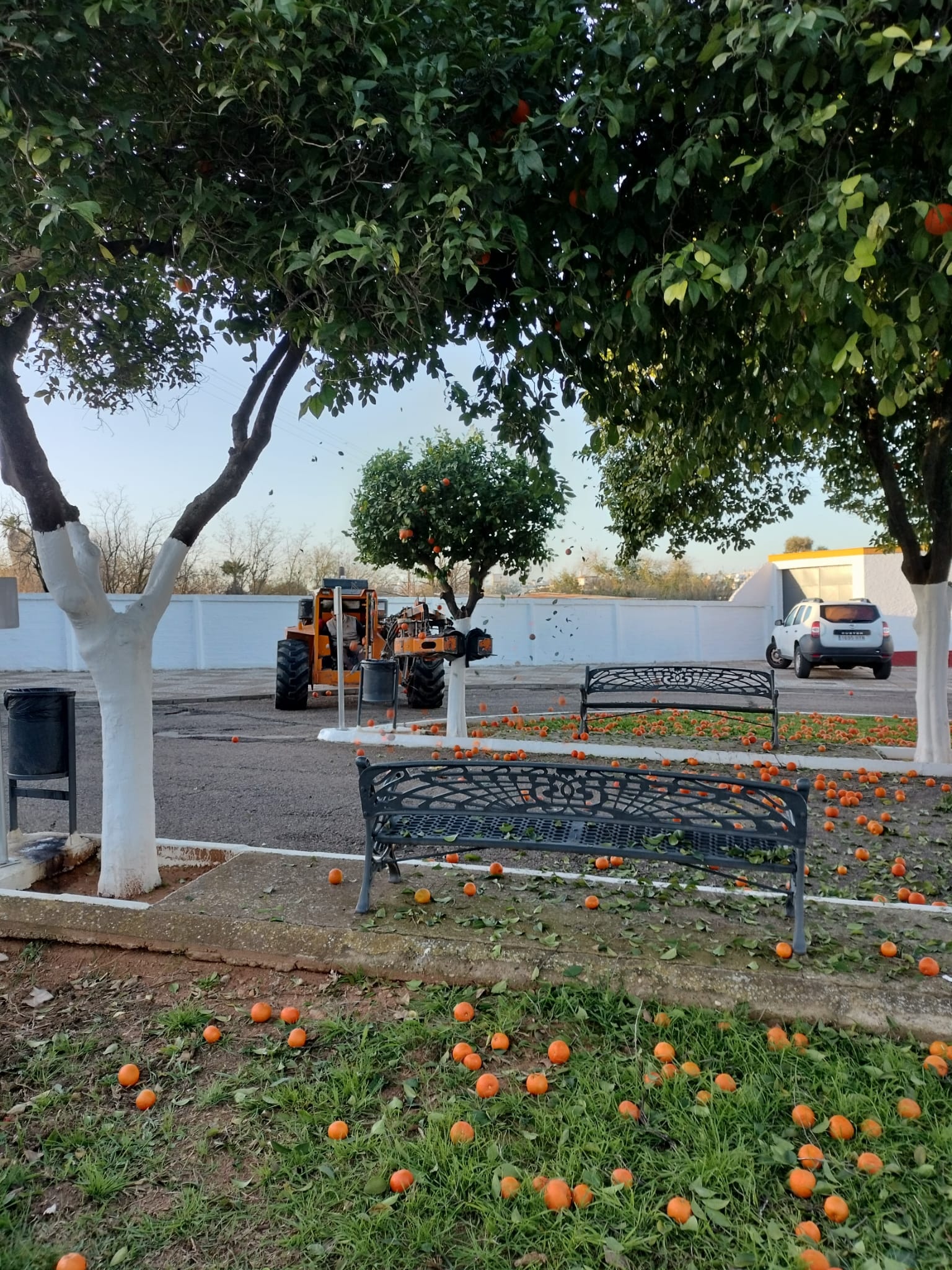 WhatsApp Image 2023-01-19 at 11.19.15