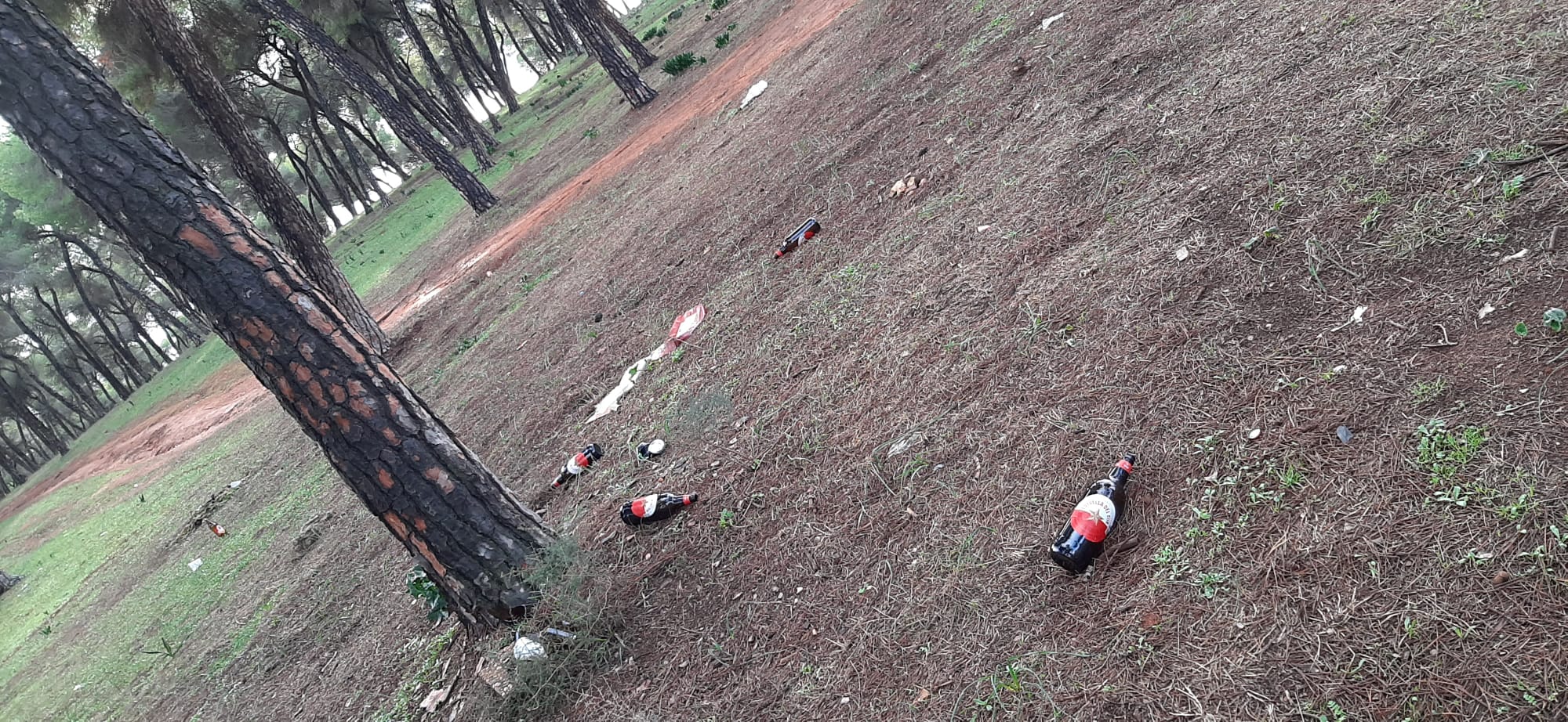 WhatsApp_Image_2022-01-13_at_232051PE