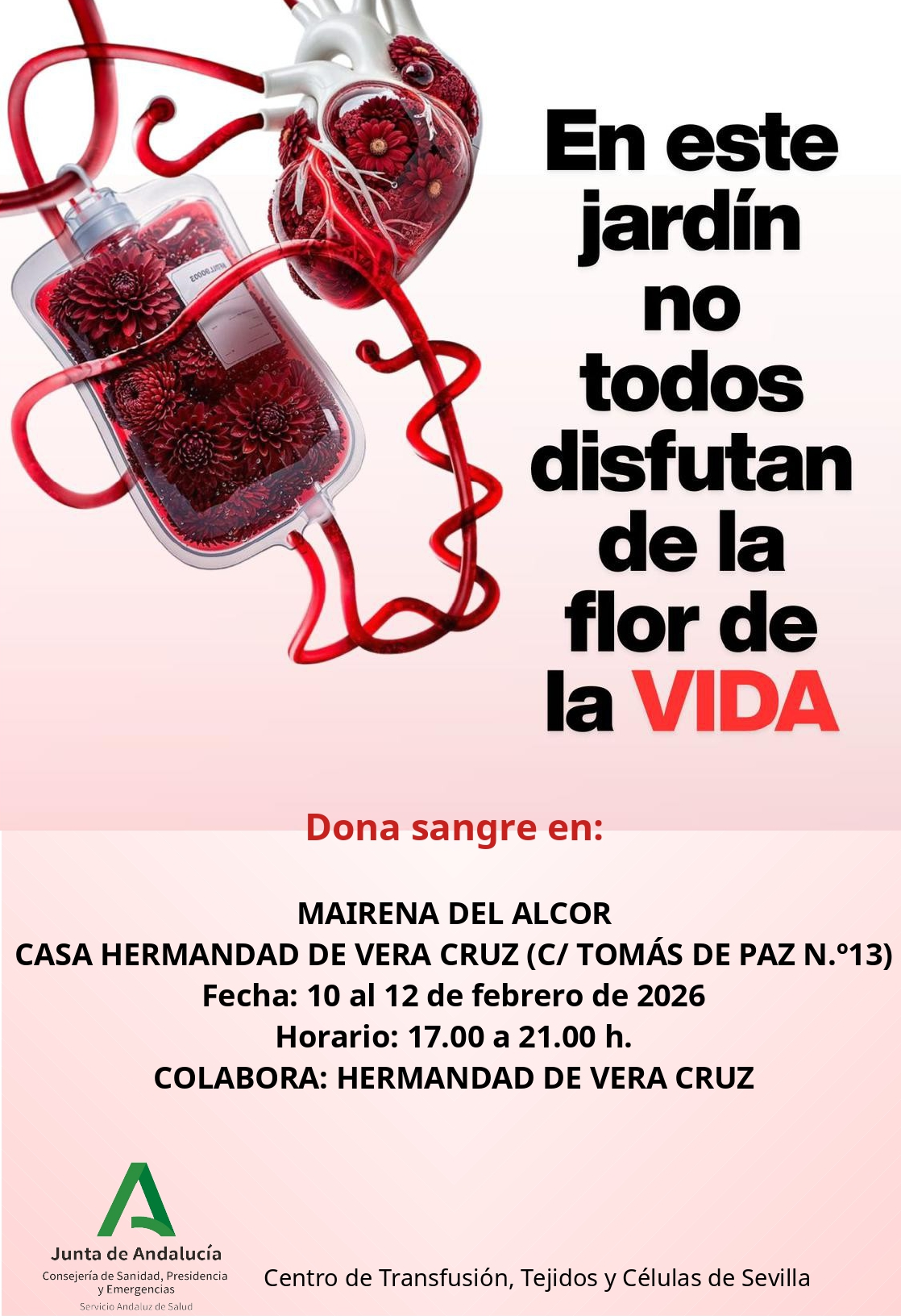 MAIRENA ALCOR (1)_page-0001 (1)