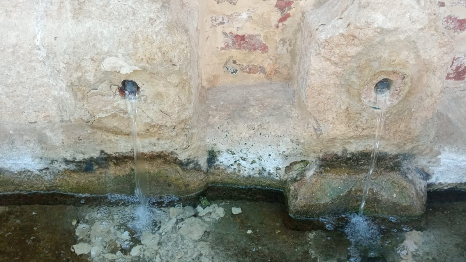 514668339_1041347478116452_7177669347561820053_n