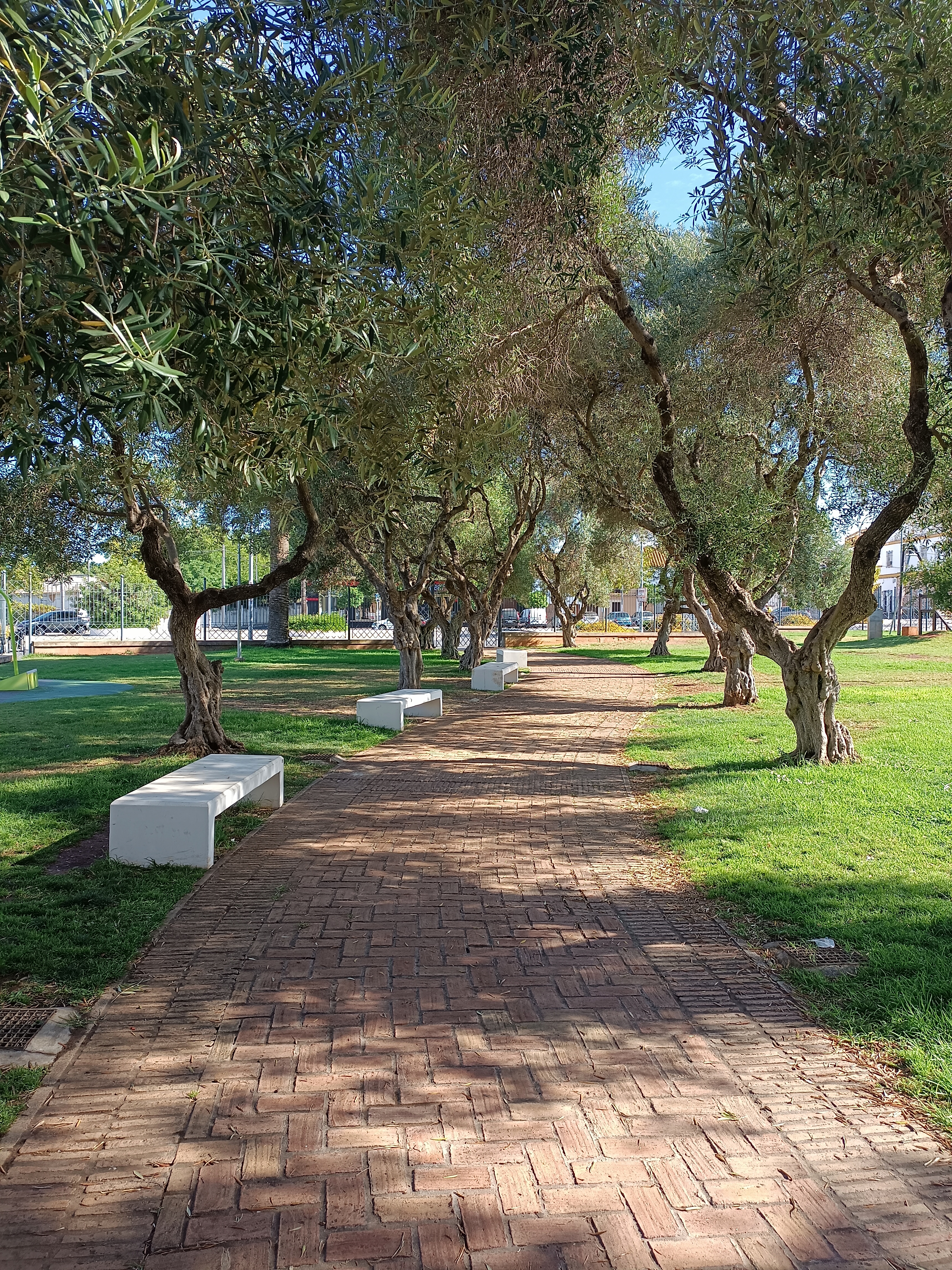 IMG_20240709_100712 (1)