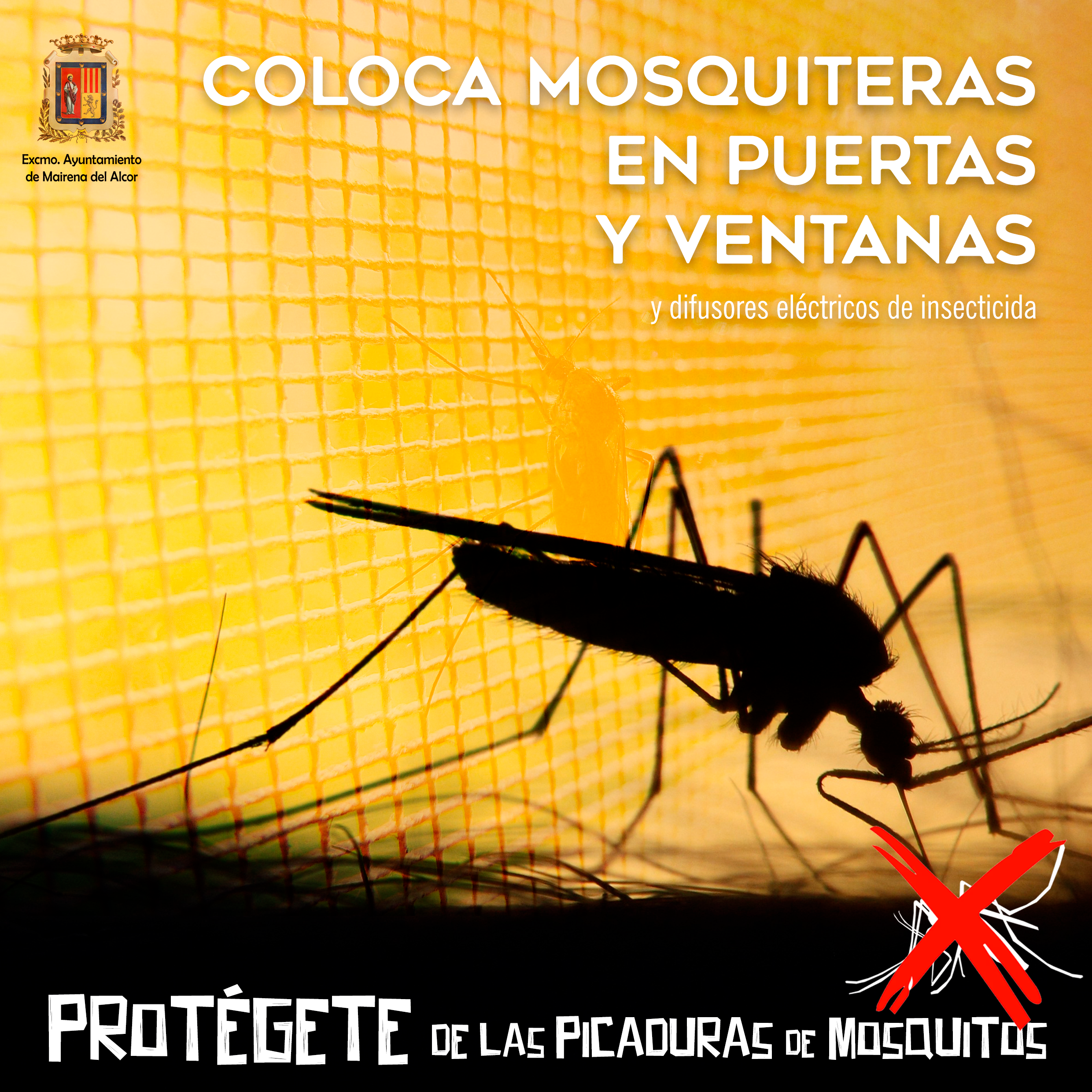 ProtecciónMosquitos2026versionMosquiteras
