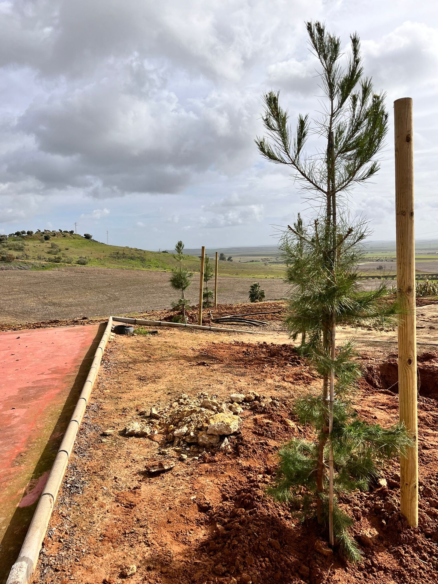 cbd0dfc0-64df-439c-8b23-222eb23b72c5