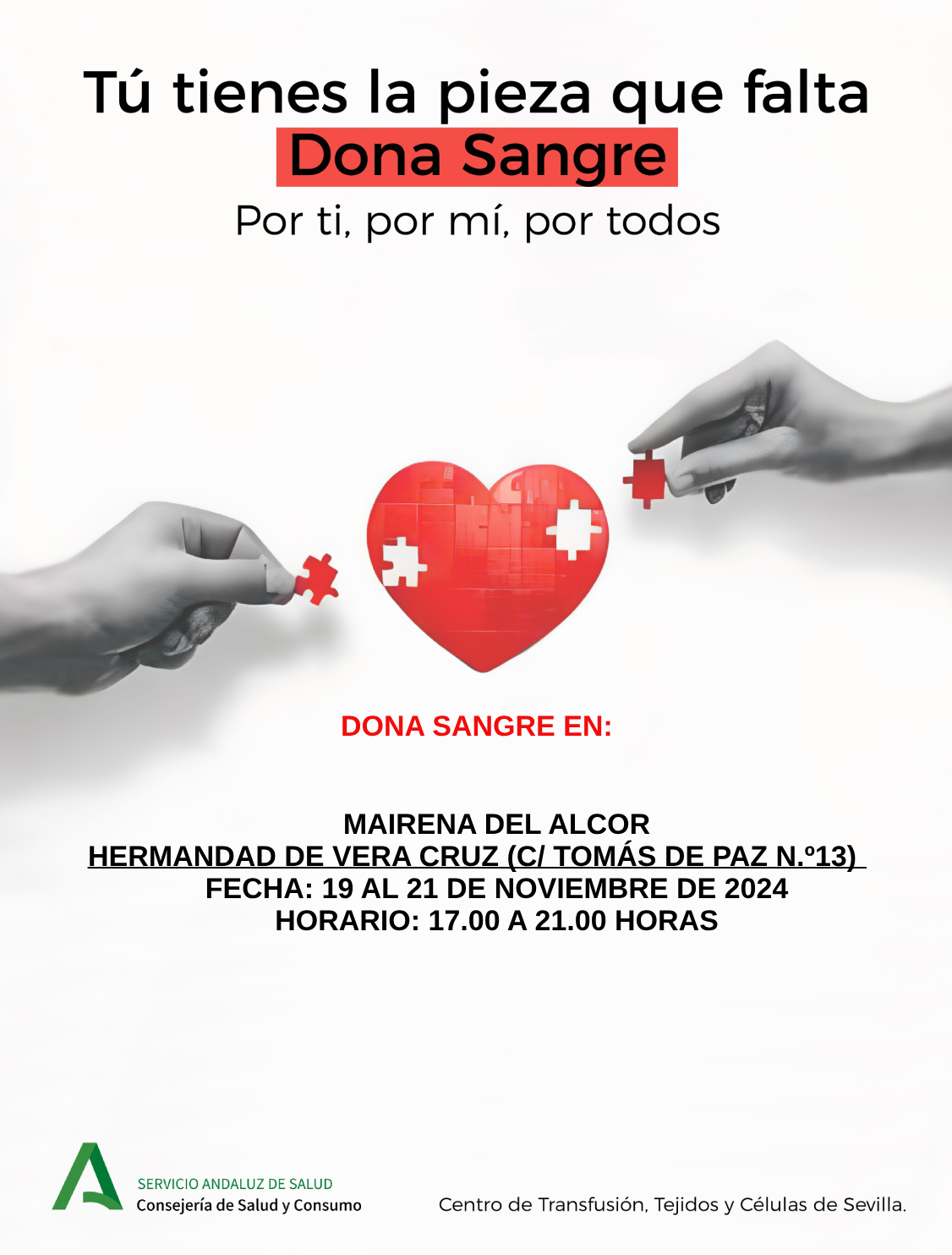 12112024DdSMAIRENA ALCOR-pdf