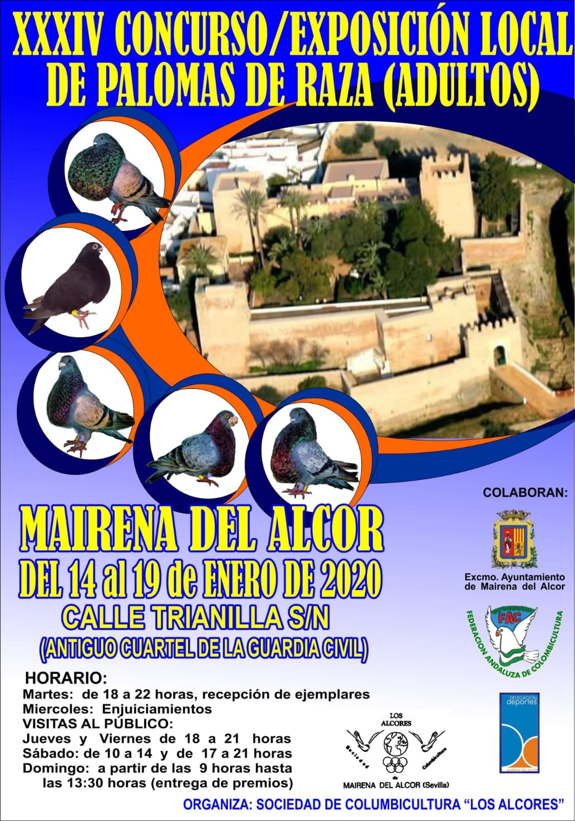 ConcursoPalomasRaza2020