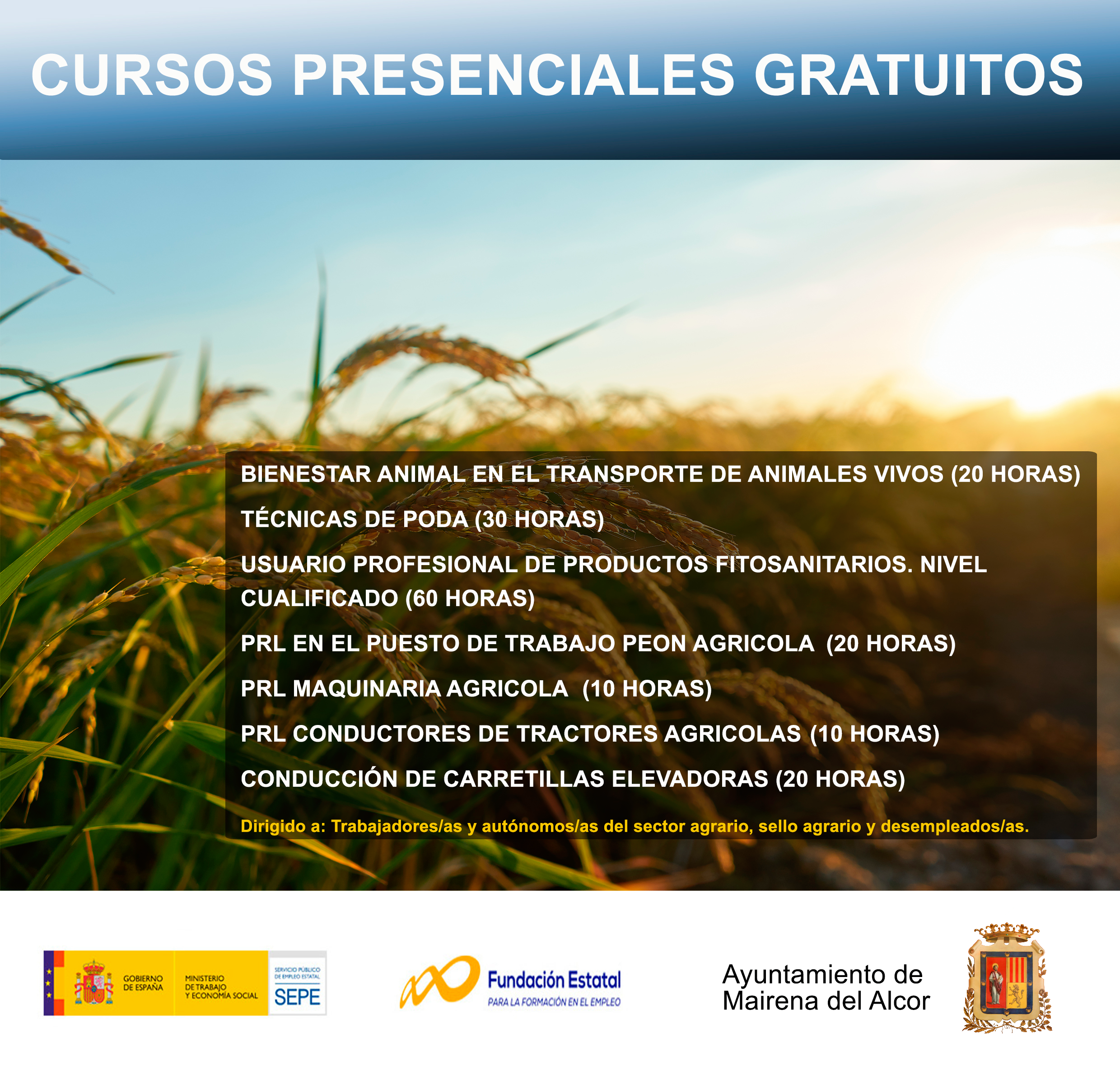 02102023 formacionmairena2