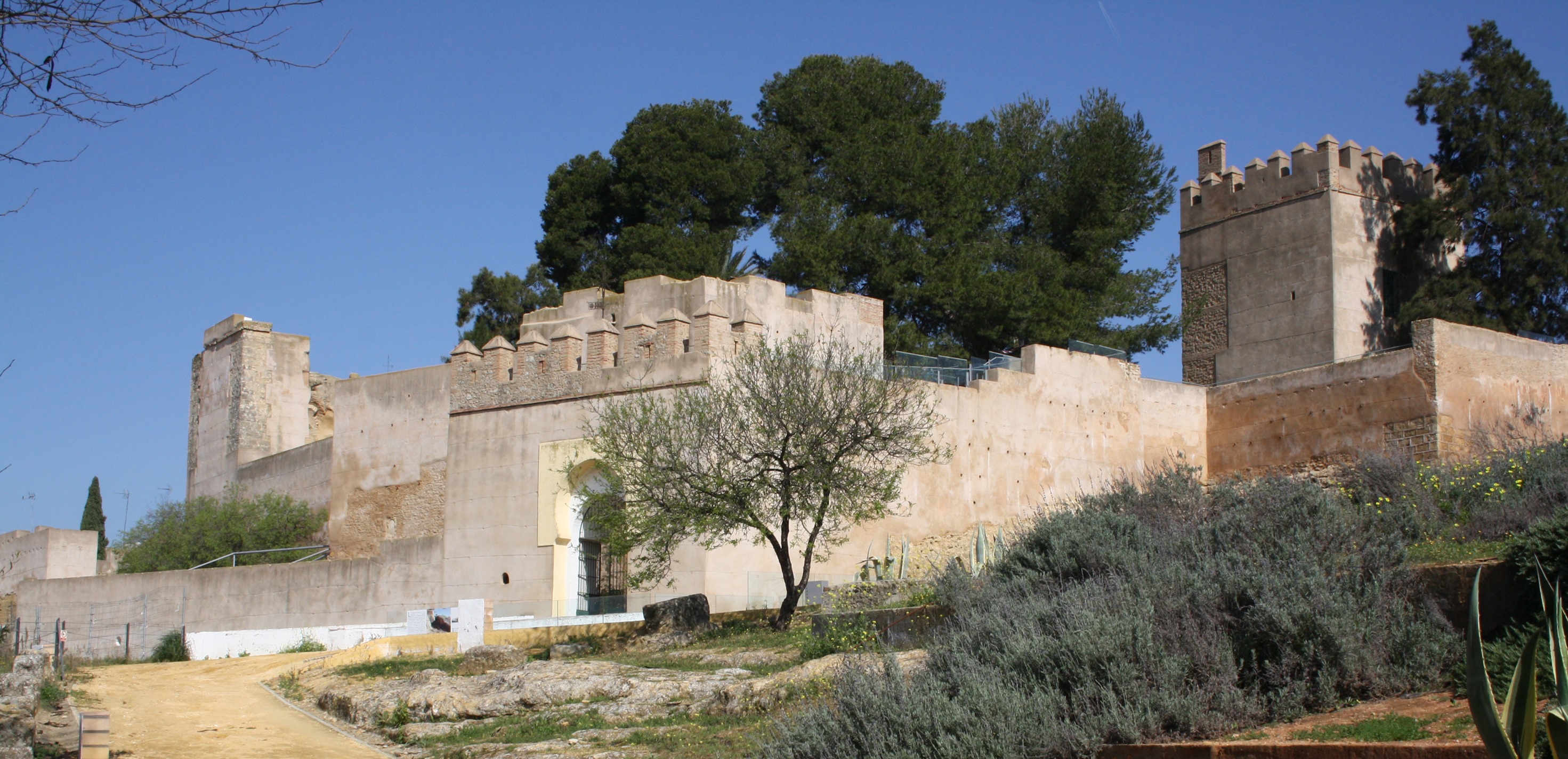 140321525_749839695632017_1148056702969277485_n