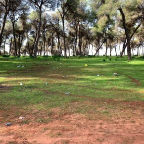 156014292_771492310133422_5976262769063003238_o