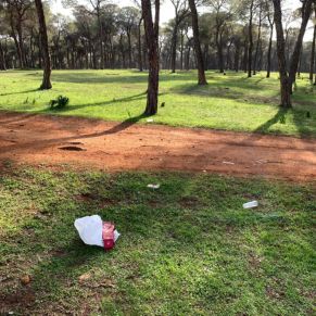 156043522_771492316800088_6957114193301965803_o