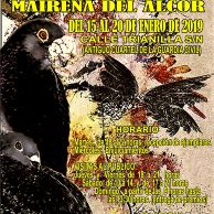 16 Concurso Pichones