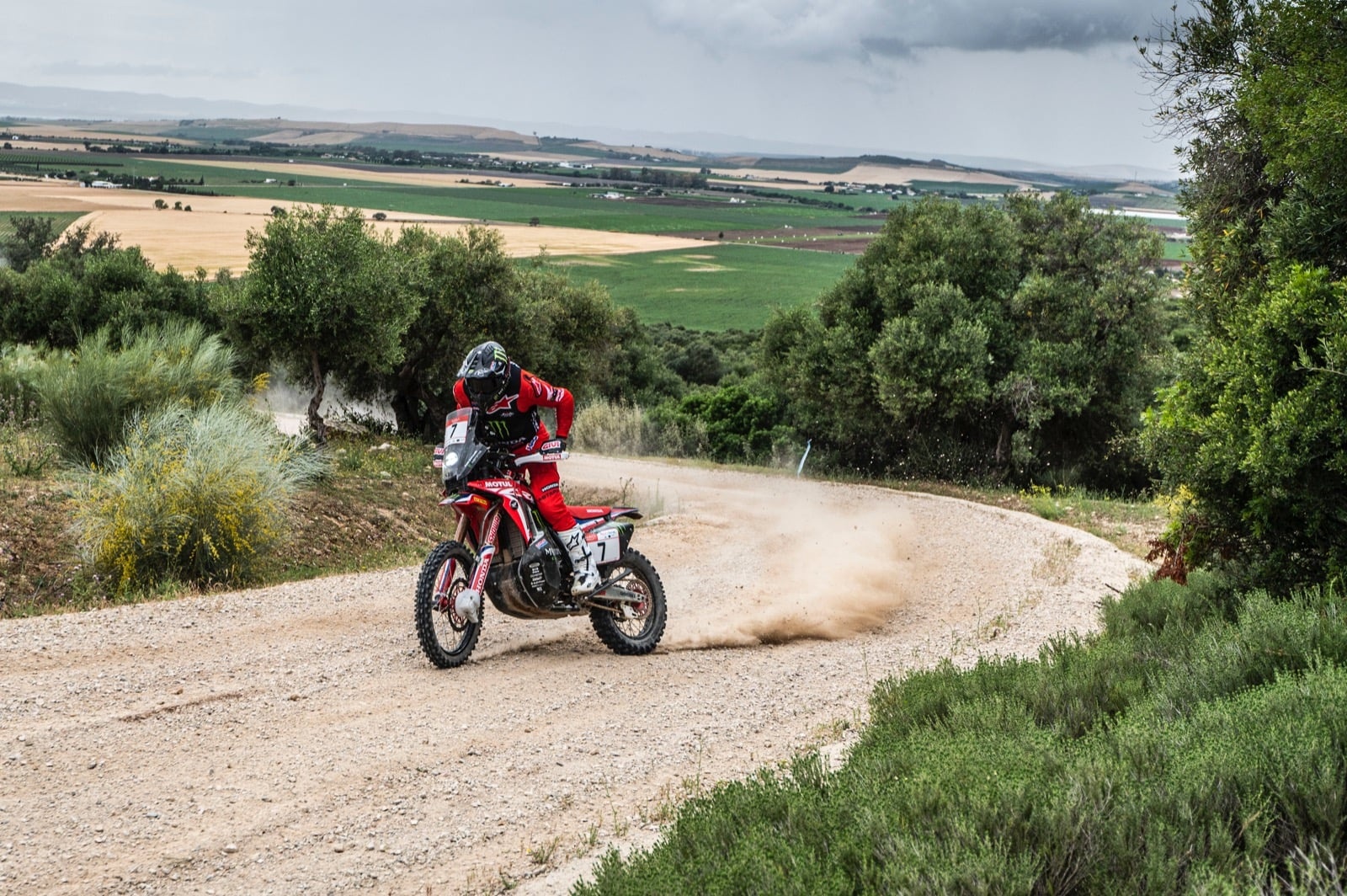 184266506_269083338255355_1269909705789509770_n