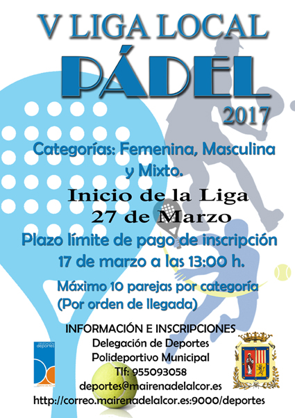 Cartel Liga PADEL web