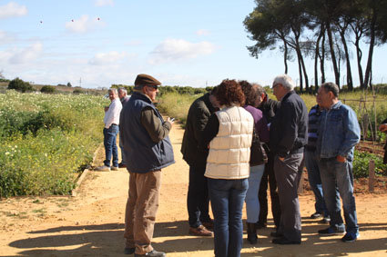 HuertosSociales_III