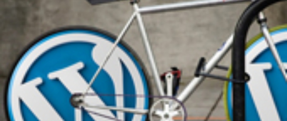 WORDPRESS_P.jpg