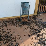 216377315_847928205823165_4032359595578354326_n