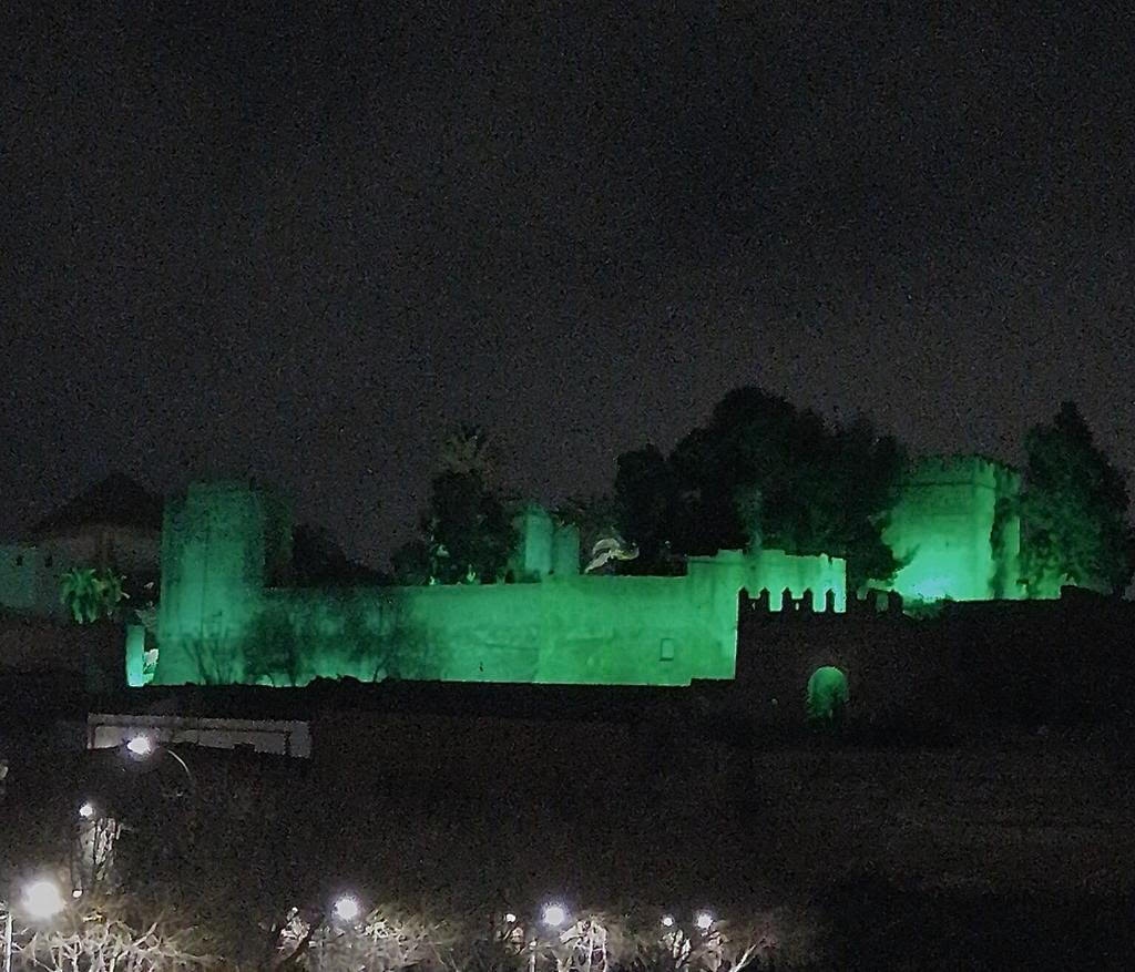 240320202 castilloVerdeunnamed