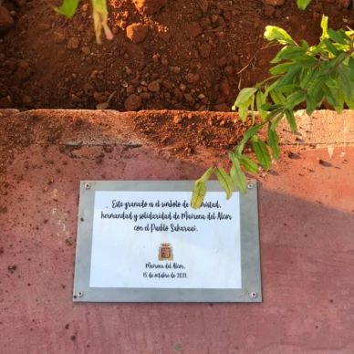 245799483_902441310371854_2439441740943105762_n