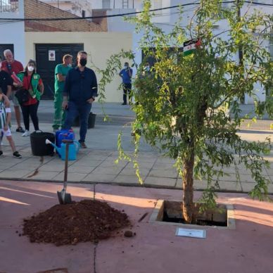 245816325_902441277038524_6447304592253407841_n