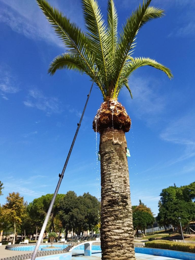 246768426_906177989998186_783141377073879595_n