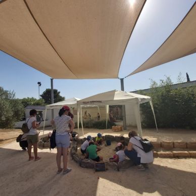 291373553_361378409446699_8559681846616589735_n