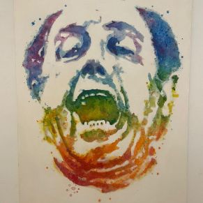 305689910_403045688613304_1986283976964205475_n