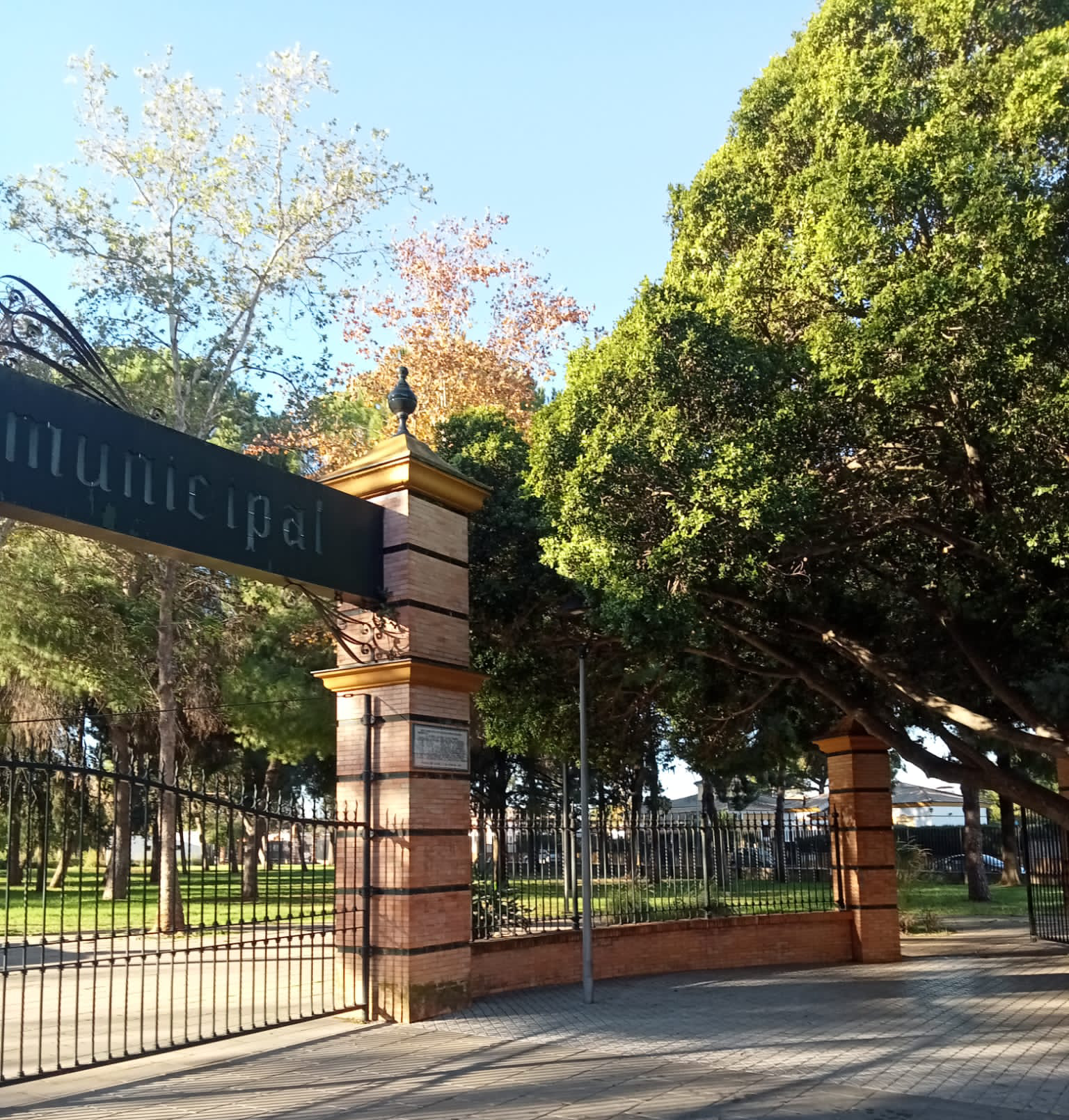 39761fce-541d-4aae-a28c-9a05631caa28