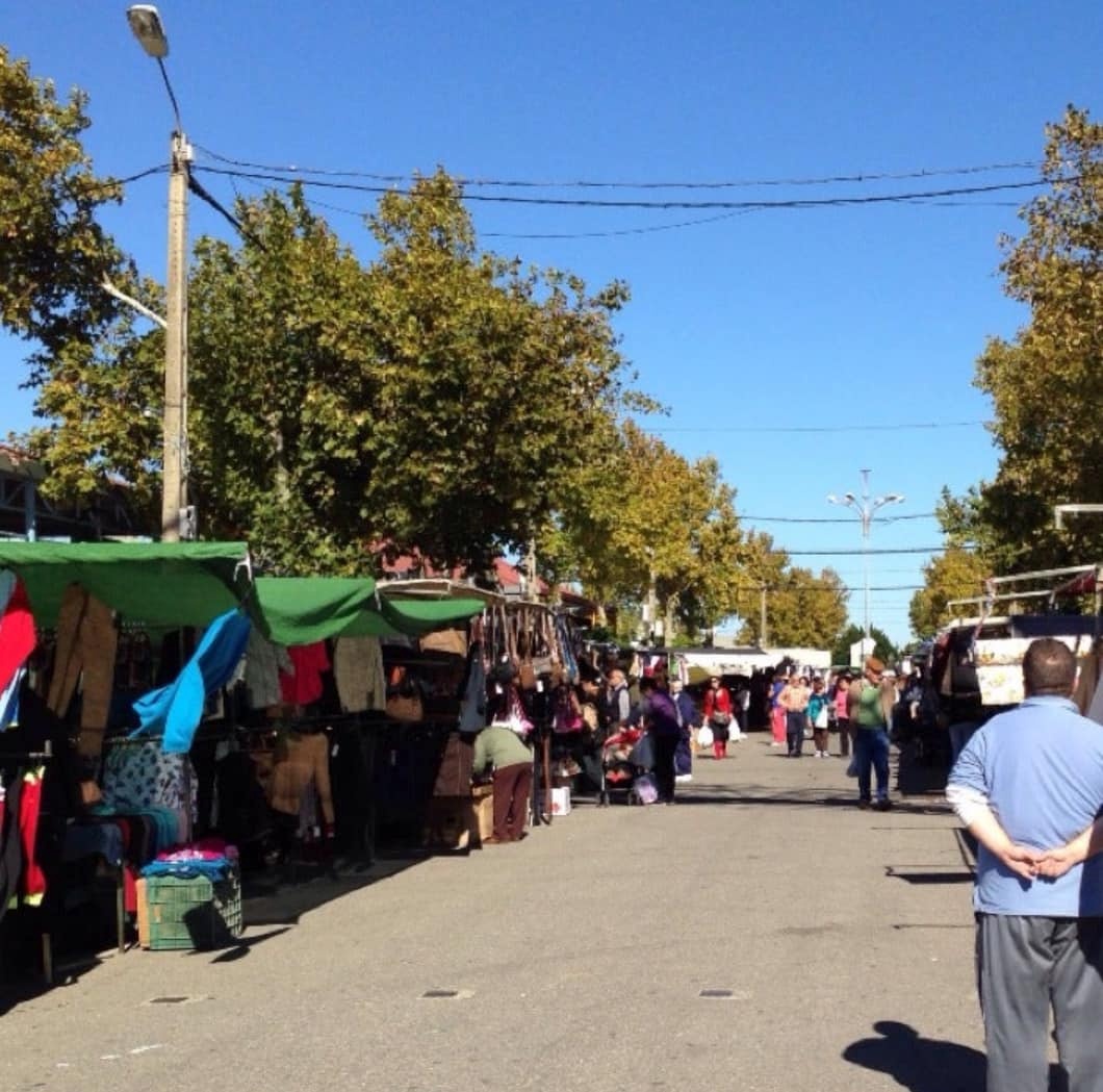 435010792_738129455104924_1654888283657356402_n