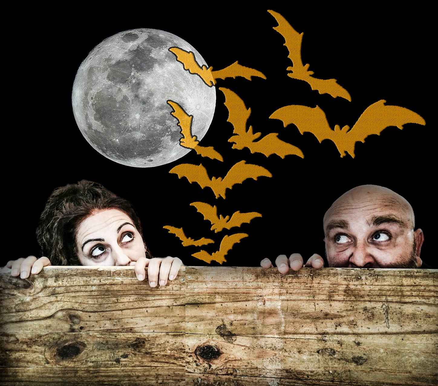 57485468_854007994948731_3118270480235102208_n