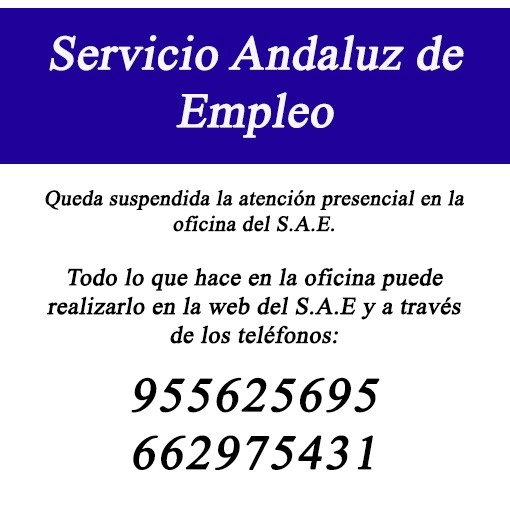 89518950_554504138498908_5814633390837596160_n