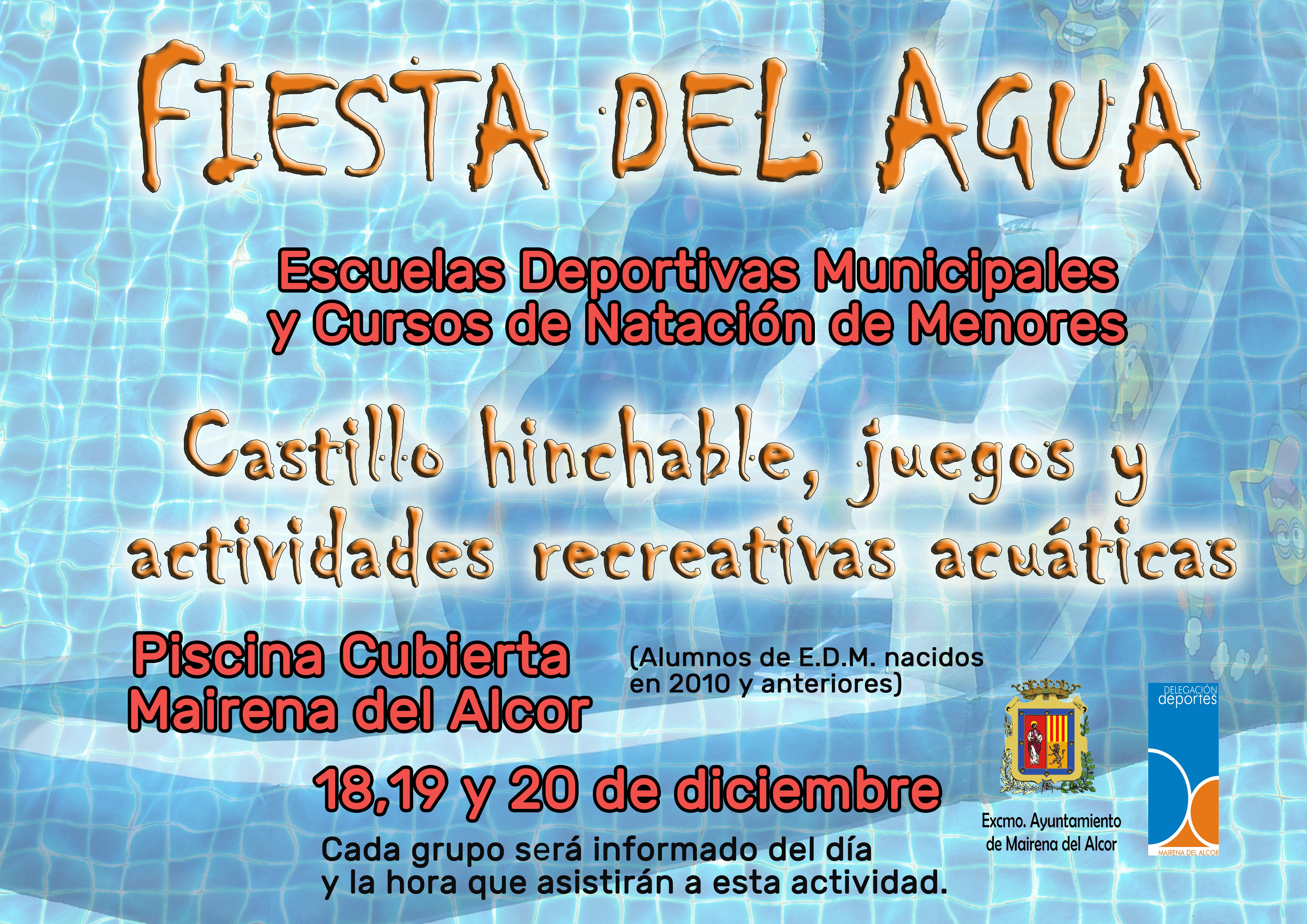 CARTEL FIESTA AGUA NAVIDAD 2018