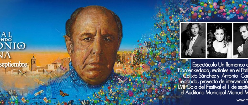 CREATIVIDAD 19 DE AGOSTODISLAYER WEB