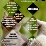 CampañaCERbeneficios2023II