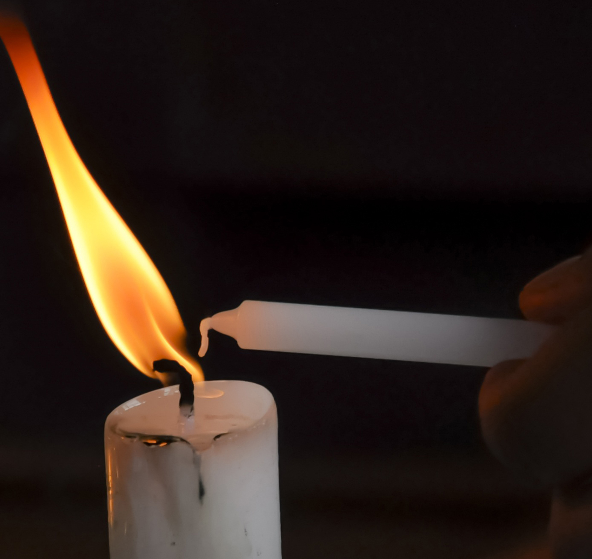 Autobús Gratuito Para Asistir A La Vi Muestra De Semana Santa Y Turismo