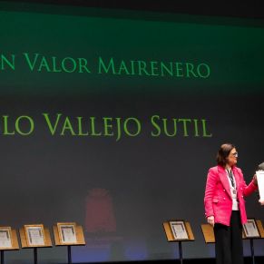 MairenerosdelAño201410