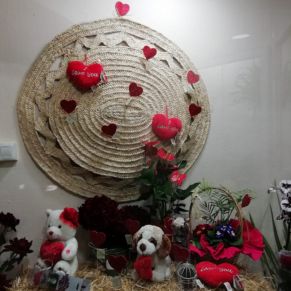 PHOTO-2019-02-01-14-08-30 (1)