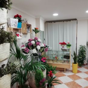 PHOTO-2019-02-01-14-08-30