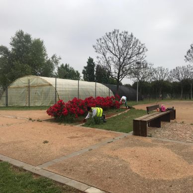 PHOTO-2019-05-06-13-33-19 (3)