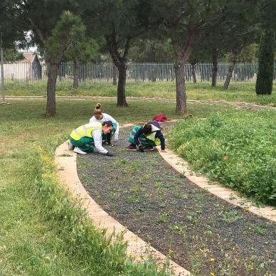 PHOTO-2019-05-06-13-33-20 (3)