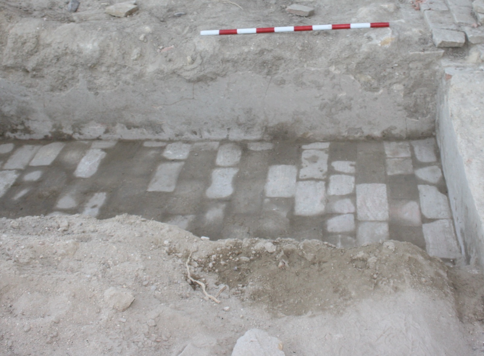 PHOTO-2021-10-27-09-01-49