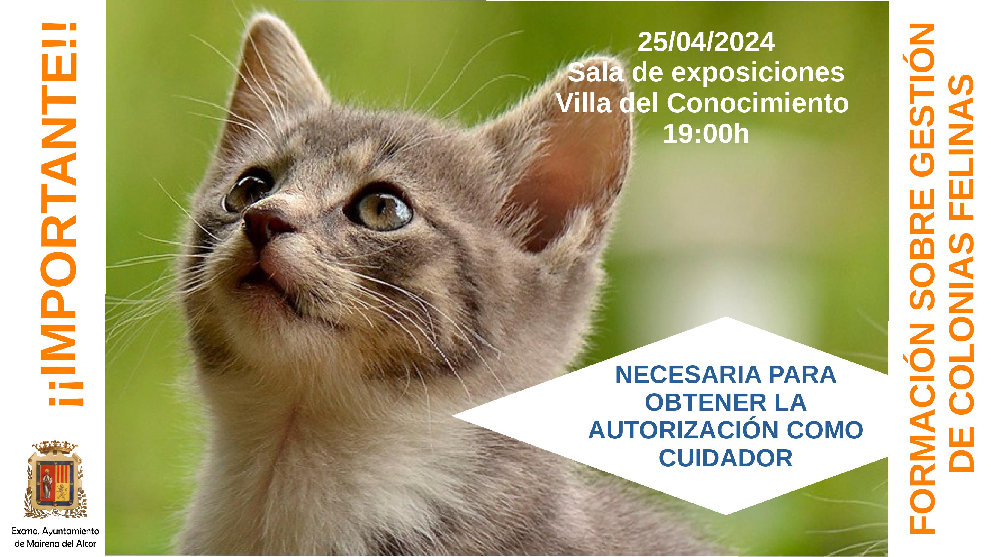 formacion gestion colonias felinas 03