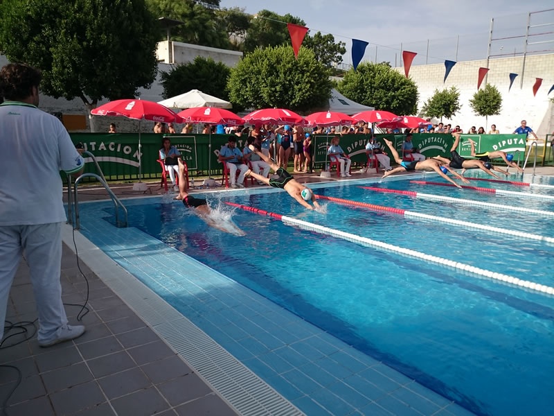 natacion-verano-02