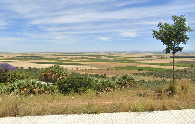 rrssbosquiaCaptura de pantalla 2025-01-16 124048