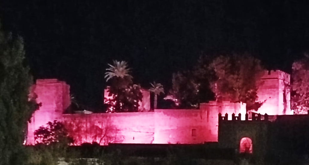 rrssweb310672934_470763505089732_7714514873583236263_n