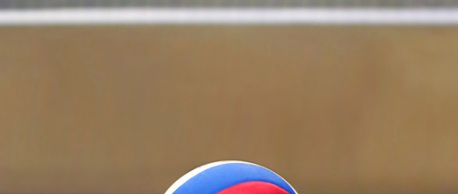 Voleibol